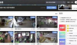 91c直播网站,揭秘热门直播平台的魅力与特色