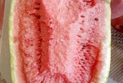 吃瓜爆料的真假如何辨别,真假难辨，如何慧眼识珠？