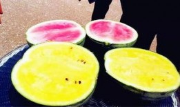 新鲜事儿大爆料吃瓜,吃瓜群众揭秘娱乐圈幕后风云